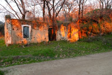 Greenway 'in yanında ağaçlar olan terk edilmiş eski tren rayı evi.