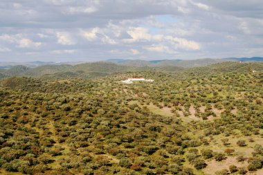 Extremadura 'daki Dehesa' nın hava manzarası güneşli bir tepeden bulutlu.