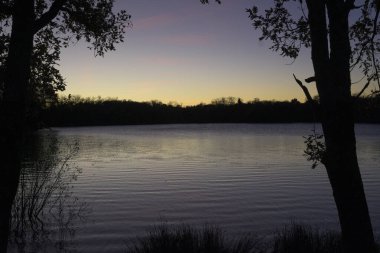 Sessiz bir gölü çevreleyen ağaçların siluetleriyle huzurlu bir alacakaranlık sahnesi. Durgun su günbatımının solgun renklerini yansıtır, sakin ve düşünceli bir atmosfer yaratır. Sakinlik, rahatlama, doğa ve akşam manzaraları için idealdir..