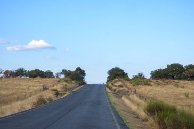 Doğrudan ufka doğru uzanan düz bir asfalt yol. Kuru, altın çimenler ve yuvarlanan tepelerde dağınık ağaçlarla çevrili. Tek bir beyaz bulutu olan açık mavi gökyüzü geniş ve açık uzayı vurgular. Bu resim güçlü bir şekilde tema iletir 