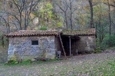 Ormanlık alandaki kirli bir açıklıkta yer alan kiremitli çatılı, ıssız taştan bir kulübeye ön manzara. Ambroz Vadisi, Extremadura 'da terk edilme, tarih ve inzivaya çekilme hissi veriyor.