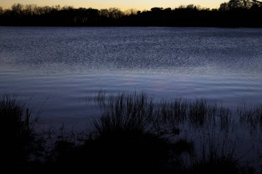 Alacakaranlıkta sakin bir göl, karanlık kıyı şeridi otları ve solgun bir ışığın durgun mavi suya yansıması huzurlu bir hava yaratıyor.