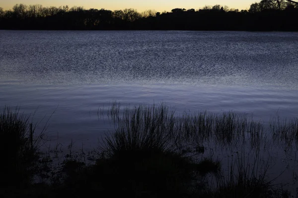 Alacakaranlıkta sakin bir göl, karanlık kıyı şeridi otları ve solgun bir ışığın durgun mavi suya yansıması huzurlu bir hava yaratıyor.