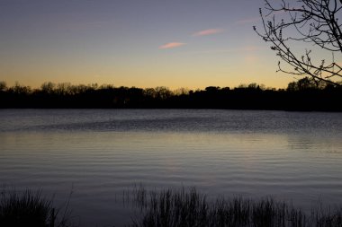 Gün batımında huzurlu bir göl. Sakin su, yumuşak gökyüzü renkleri ve karanlık ağaç siluetleri. Huzurlu bir doğal manzara yaratıyor.
