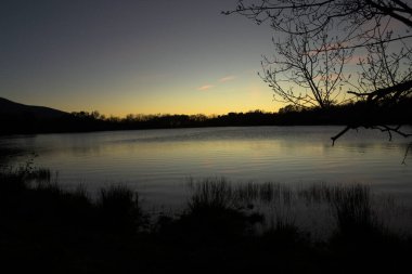 Gün batımında huzurlu göl sakin su ağacı siluetleri ve yumuşak alacakaranlık gökyüzü dinlenmek ve seyahat kavramları için sakin doğal bir manzara yaratıyor.