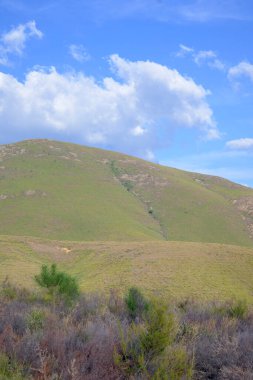 Sierra de Gata 'daki yeşil yuvarlanan tepeler mavi gökyüzü altında çıkan yangınlardan sonra doğal bitki örtüsünü gösteriyor. Bulutlar direnç yenilenmesinin ve çevresel yenilenmenin sembolü.
