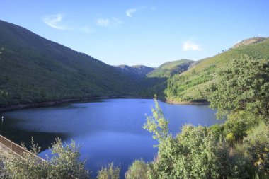 Çevresel iyileşme sürdürülebilirliğini ve mavi gökyüzü altında barışçıl kırsal manzarayı gösteren yeşil yeniden ağaçlandırılmış dağlar ve doğal bitki örtüsüyle çevrili tatlı su deposu.