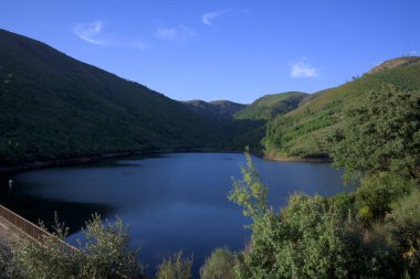 Sakin mavi dağ gölü yeşil tepeler ve ormanlarla çevrili berrak gökyüzünün altında sakin yaz manzarası seyahat ve doğa arka planı için ideal.