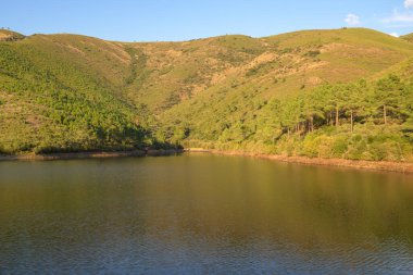 Huzurlu göl yeşil tepelerle çevrili ve açık mavi gökyüzünün altında çam ağaçları ılık güneş ışığı altında
