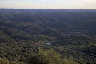 Extremadura dehesa 'nın panoramik manzarası. Dağılmış tepeler, dağınık meşe ağaçları ve yumuşak doğal ışık altında huzurlu kırsal manzara.