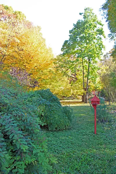 Zagreb, Hırvatistan ve Avrupa 'da bir parkta sonbaharın başlangıcı