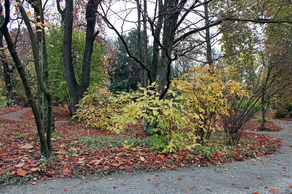 Otoño Los Parques Zagreb Croacia Europa —  Fotos de Stock