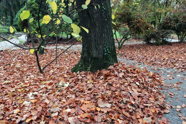 Autumn Parks Zagreb Croatia Europe — Stock Photo, Image