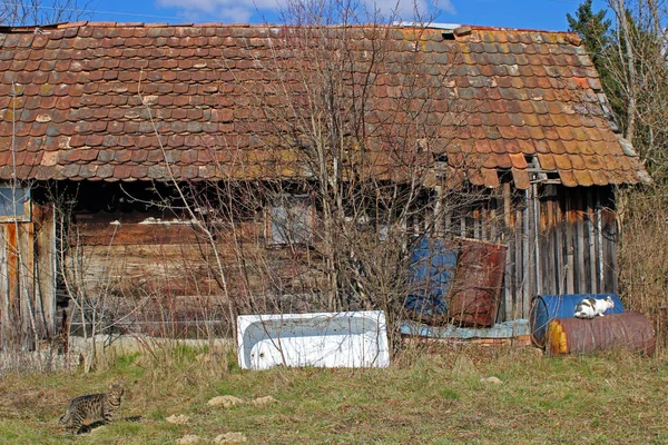 Zagreb 'in çevresinde başlayan bahar mevsimi, terk edilmiş evler Hırvatistan ve Avrupa' da başladı