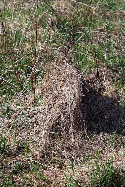 Zagreb, Hırvatistan ve Avrupa 'nın çevrelerinde ilkbahar başlıyor