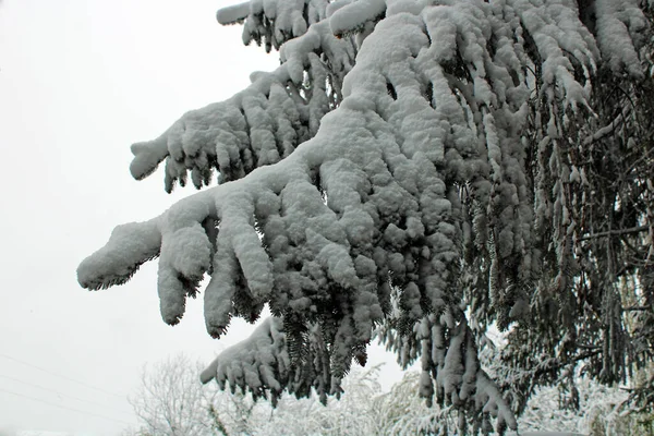 Vårens Väderomslag Med Snö April Zagreb Kroatien Europa — Stockfoto