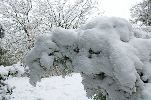 Wiosenna Zmiana Pogody Śniegiem Kwietniu Okolicach Zagrzebia Chorwacji Europy — Zdjęcie stockowe