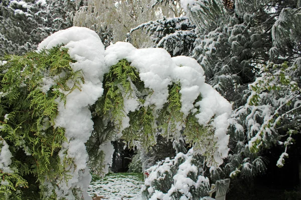 Frühlingswetter Mit Schnee April Der Umgebung Von Zagreb Kroatien Europa — Stockfoto