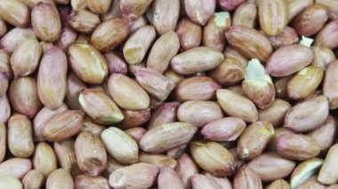 Cilt Dönüşümlü Fıstık