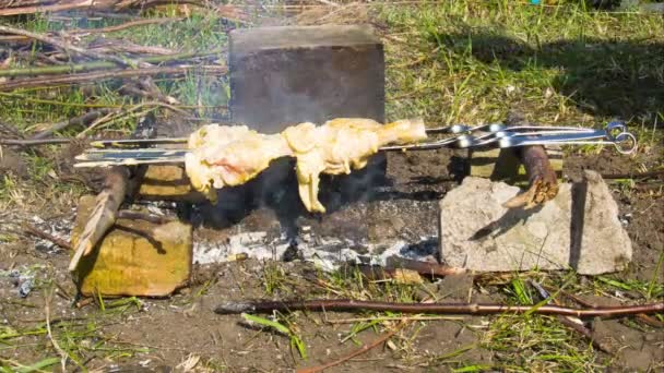 Kebabs avec poulet sont cuits sur le feu sur la nature. Délai imparti — Video