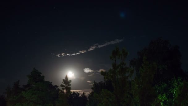 Nacht maan stijgt op de horizon en de bomen op de achtergrond van de nacht sterren en de wolken. — Stockvideo