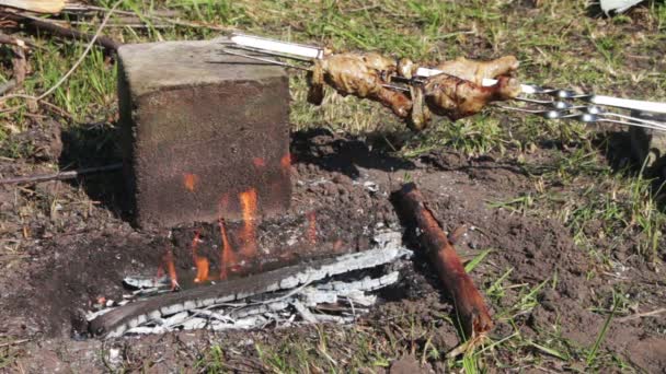 Кебабы с курицей готовятся на огне — стоковое видео