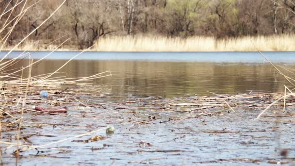 Afval, Plastic flessen in de rivier — Stockvideo