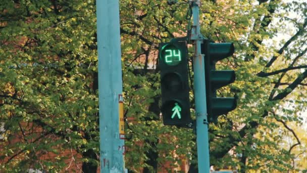 Trafikljuset i korsningen — Stockvideo