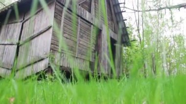 Old Scary Wooden House in the Woods
