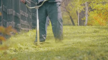 Bahçıvan Mowser çim biçme makinesi yeşil çimen