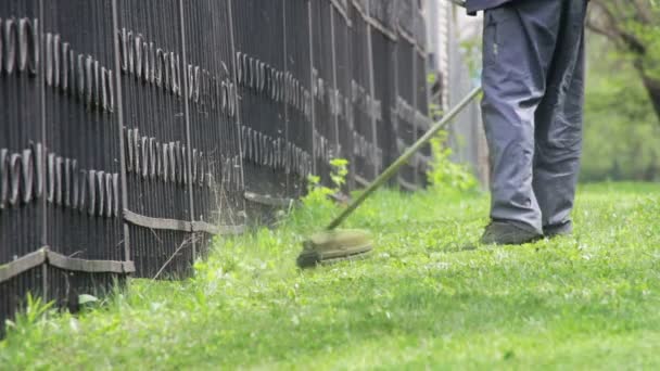 Gardener Mows the Lawn Mower Green Grass — Stock Video