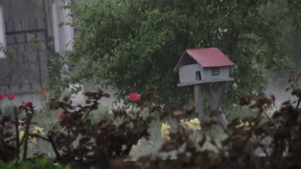 Lluvia cayendo duro en el parque en la pequeña casa de madera — Vídeos de Stock