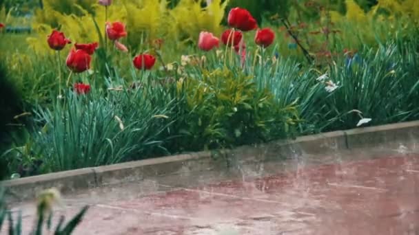 La pluie tombe fort dans le parc 