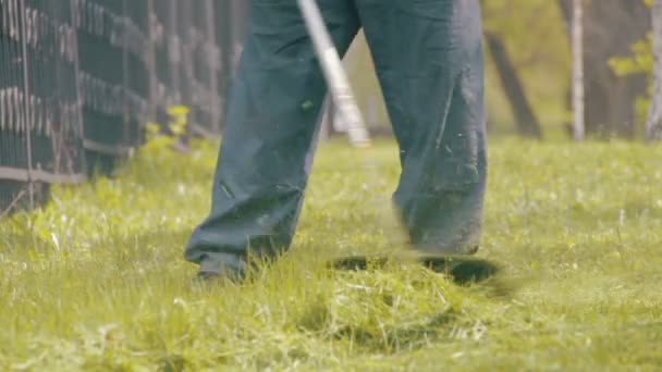 Jardineiro corta a grama verde cortador de grama — Vídeo de Stock