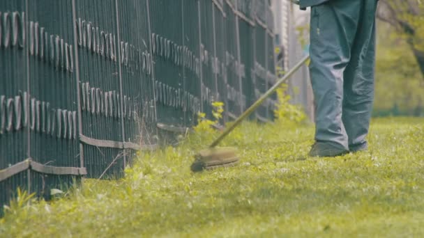 Ogrodnik Kosi kosiarka zielona trawa — Wideo stockowe