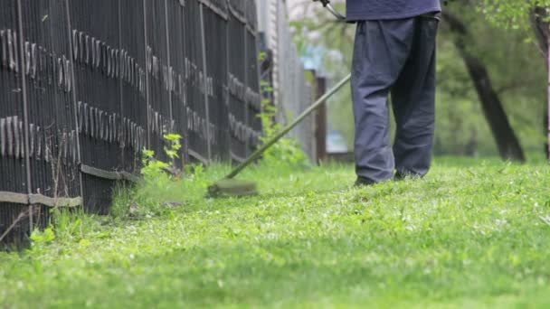 Jardineiro corta a grama verde cortador de grama — Vídeo de Stock