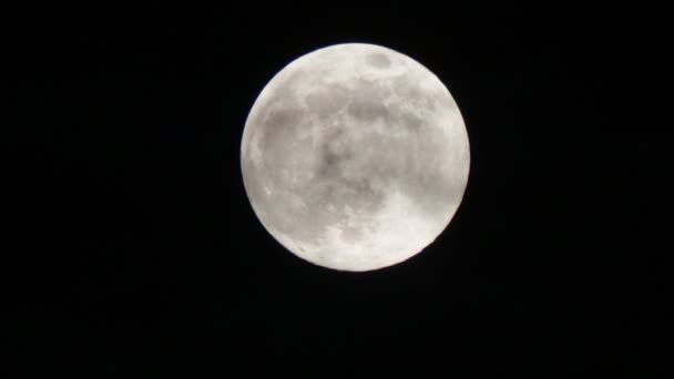 Luna piena che si muove nel cielo notturno — Video Stock