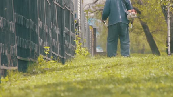 Trädgårdsmästare Mows gräsklippare grönt gräs — Stockvideo