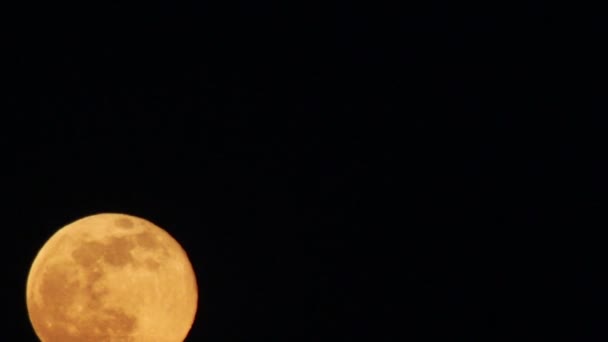 Full Red Moon Moving in the Night Sky — Stock Video