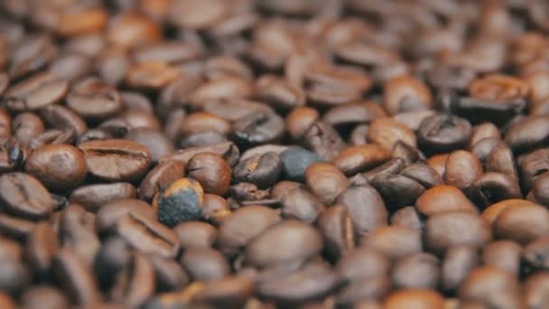 Coffee Beans Rotate — Stock Video