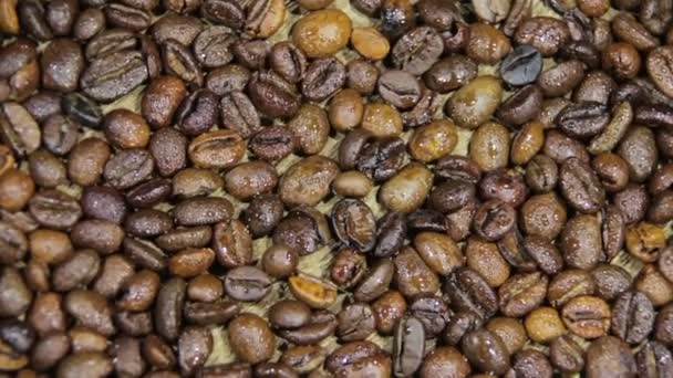 Granos de café giran — Vídeo de stock