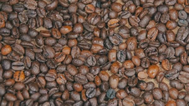 Granos de café giran — Vídeo de stock