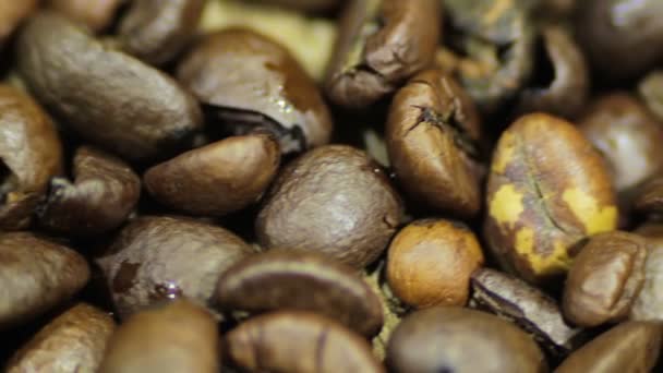 咖啡豆旋转 — 图库视频影像