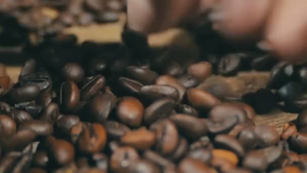 Coffee Beans Rotate — Stock Video