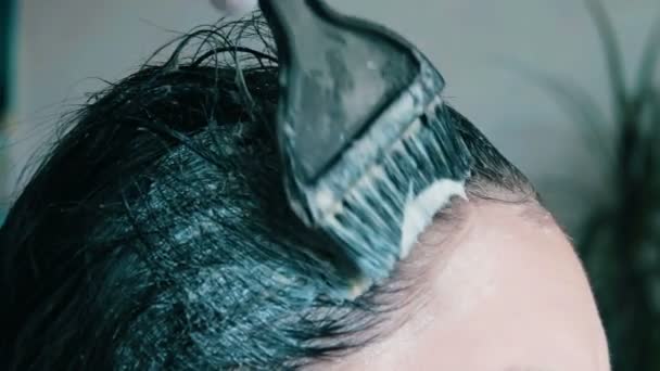 Colorir cabelo escuro por um cabeleireiro — Vídeo de Stock