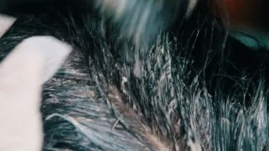 Saç boyama kız bir Kuaför Salonu