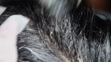 Saç boyama kız bir Kuaför Salonu