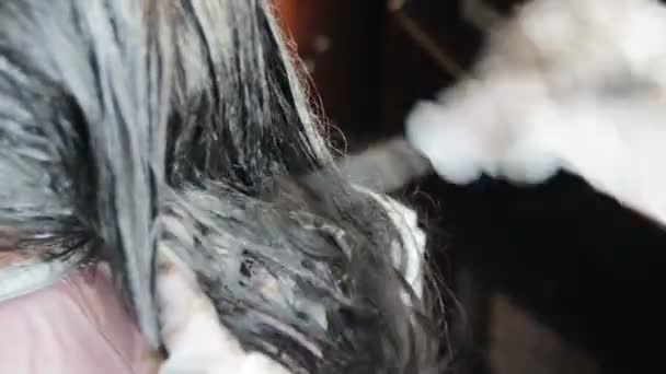 Haarfärbung Mädchen in einem Friseursalon — Stockvideo