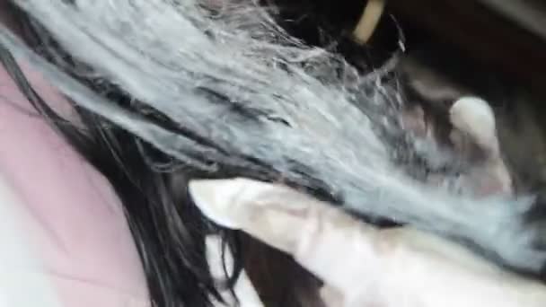 Mujer Tintes de Peluquería Cliente Mujer Cabello — Vídeo de stock