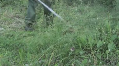 Bahçıvan Mowser çim biçme makinesi yeşil çimen